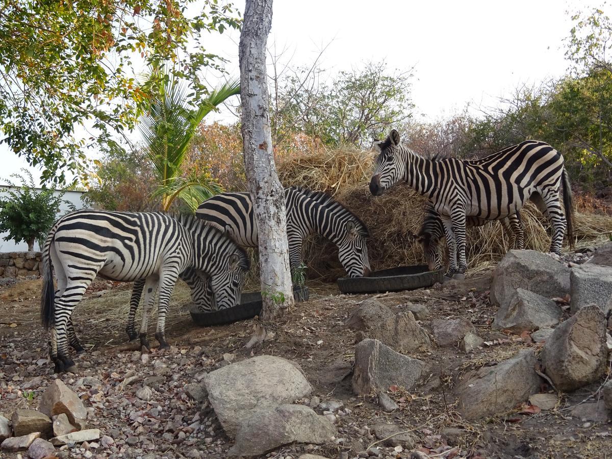 Lake Kariba Inns Siavonga Esterno foto